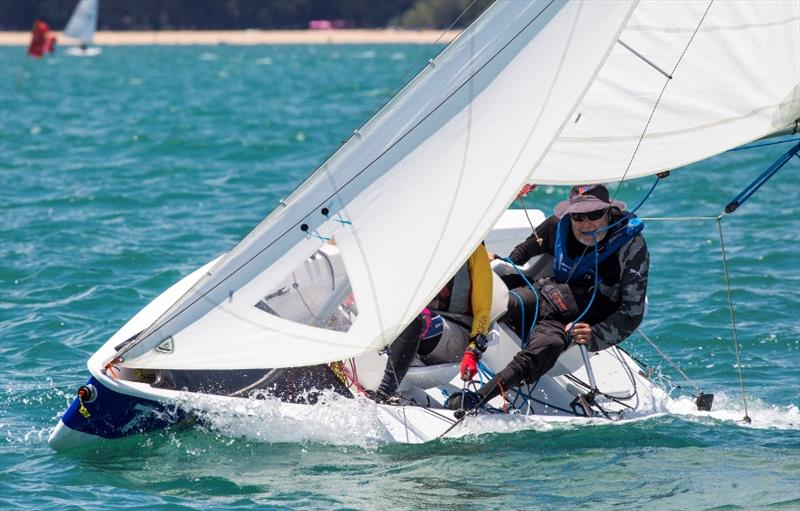 A focussed Russel Vollmer in the S\V14 class, Day 3, Top of the Gulf Regatta 2019 photo copyright Guy Nowell / Top of the Gulf Regatta taken at Ocean Marina Yacht Club and featuring the SV14 class