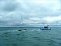 2025 Swallow Nationals at Bembridge