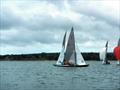 2025 Swallow Nationals at Bembridge