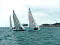 2025 Swallow Nationals at Bembridge