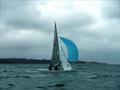 2025 Swallow Nationals at Bembridge