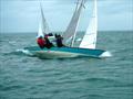 2025 Swallow Nationals at Bembridge