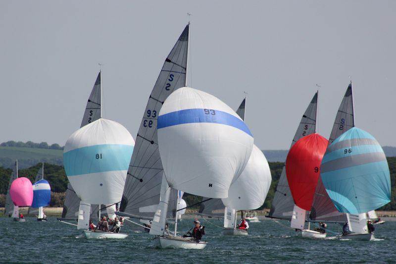 Swallow In-Harbour Championship at Itchenor for the Norman Moore Trophy photo copyright Kirsty Bang taken at Itchenor Sailing Club and featuring the Swallow class