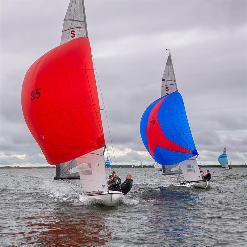 Swallows with spinnakers at the Bosham Regatta 2024 photo copyright Paul Adams / Harbour Images taken at Bosham Sailing Club and featuring the Swallow class