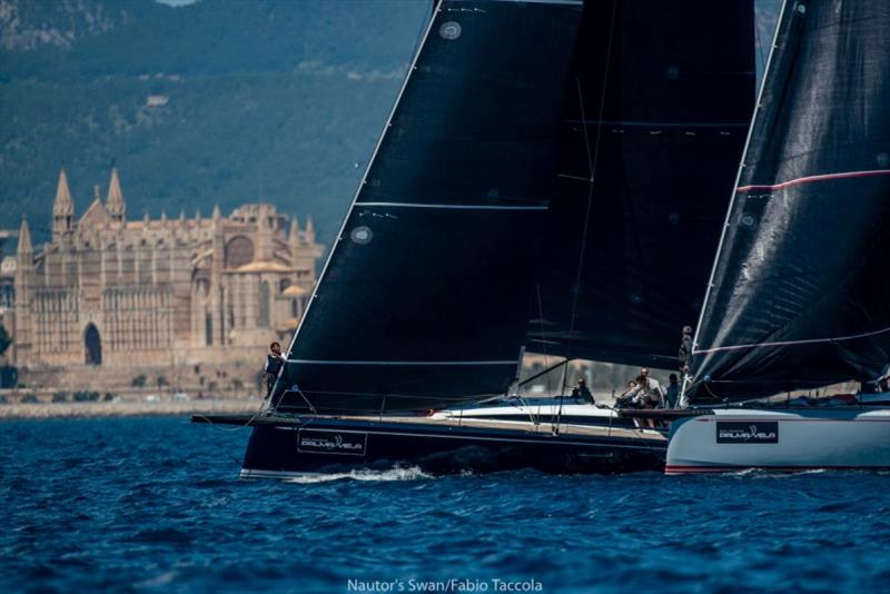 Sail Racing PalmaVela photo copyright Nautor's Swan / Fabio Taccola taken at Real Club Náutico de Palma and featuring the Swan class