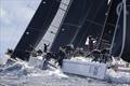 Swan Bonifacio Challenge &copy; Studio Borlenghi