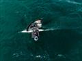 Switch Global Championships at Fraglia Vela Malcesine Day 2