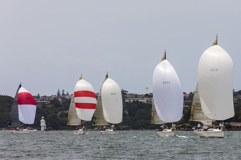 The Sydney 38 competition is sure to be tight at the Sydney Harbour Regatta photo copyright Andrea Francolini taken at Middle Harbour Yacht Club and featuring the Sydney 38 class