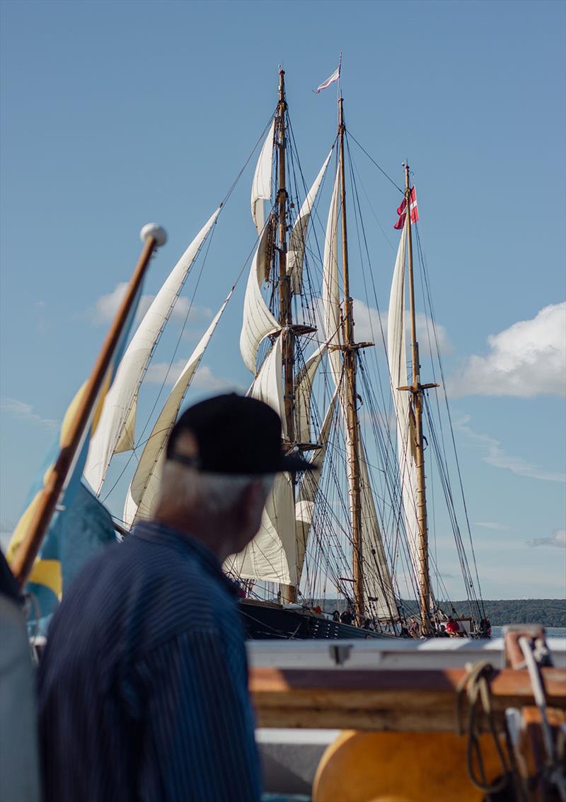 Börje Magnusson, Kvartsita's cook, admires danish barquentine LOA - Limfjorden Rundt Regattas photo copyright Edgar Wroblewski taken at  and featuring the Tall Ships class