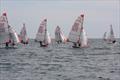 Tasar South West Championship at Porthpean