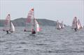 Tasar South West Championship at Porthpean