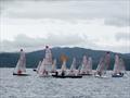 © Japan Tasar Association