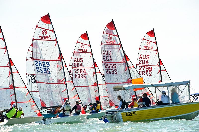 The Tasar class Australian Championship return to Queensland in 2015 photo copyright John de Rooy taken at Townsville Sailing Club and featuring the Tasar class