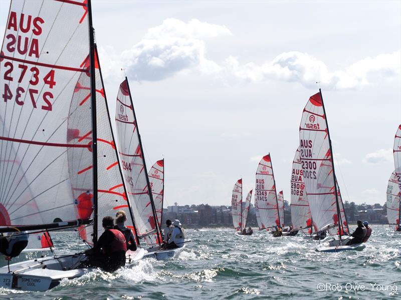 Competitors enjoying the Easter conditions during the NSW Tasar State Championship photo copyright Rob Owe-Young taken at Georges River 16ft Skiff Sailing Club  and featuring the Tasar class
