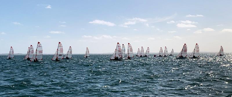 Victorian Tasar State Championships 2021 at McCrae Yacht Club - photo © Maddi Crawshaw