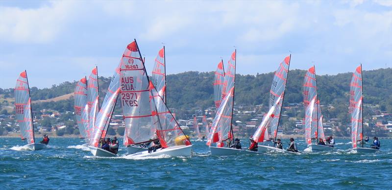 Mid fleet buoy rounding during the 48th Australian Tasar Championship at Toronto, Lake Macquarie, NSW - photo © Michelle Havenstein