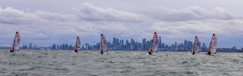 2023 Tasar Victorian State Titles photo copyright Blaise Vinot taken at Sandringham Yacht Club and featuring the Tasar class