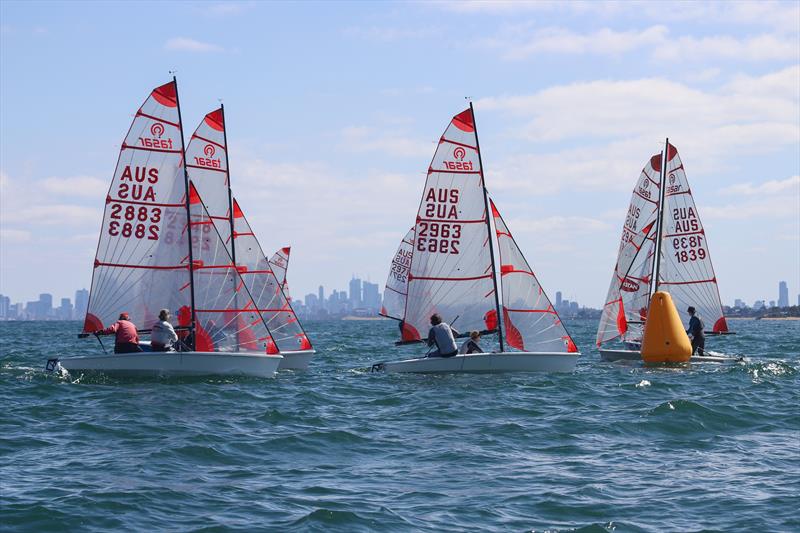 2023 Tasar Victorian State Titles photo copyright Blaise Vinot taken at Sandringham Yacht Club and featuring the Tasar class