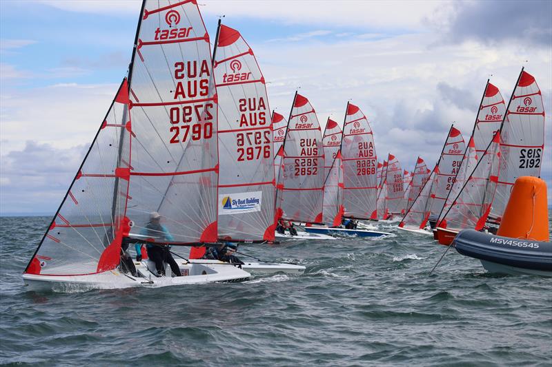 2023 Tasar Victorian State Titles photo copyright Blaise Vinot taken at Sandringham Yacht Club and featuring the Tasar class