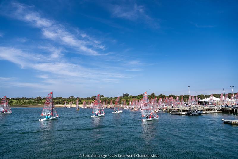 2024 Tasar World Championships at Sandringham Yacht Club Day 1: Tasar city in the Sandringham Yacht Club boat harbour photo copyright Beau Outteridge taken at Sandringham Yacht Club and featuring the Tasar class