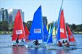 Melbourne Midwinters Team Racing © Edward Felton