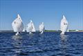 2023 Global Team Racing Regatta