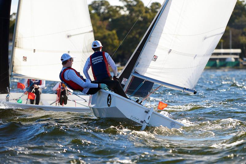 Pacer dinghies have proven ideal for teenager team racing photo copyright Felicity Allison taken at Blairgowrie Yacht Squadron and featuring the Team Racing class