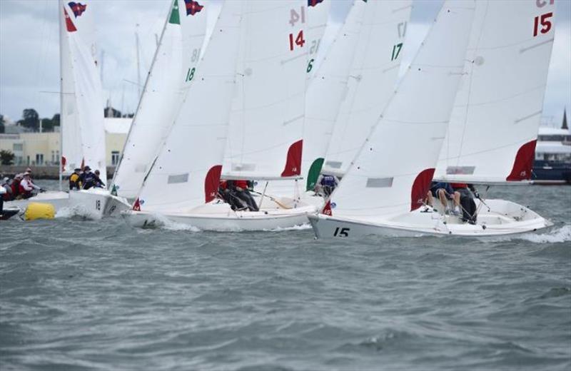 2019 Grandmasters Team Race photo copyright Stuart Streuli / New York Yacht Club taken at New York Yacht Club and featuring the Team Racing class