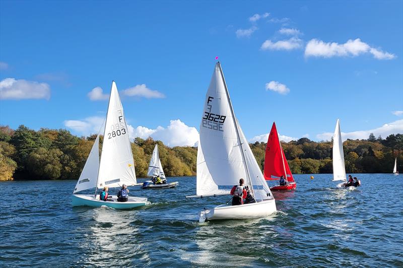 Firefly Weekend at Spinnaker