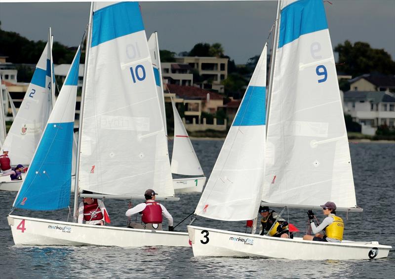 Waiting to make a move - photo © Lindsay Ironbark Photography