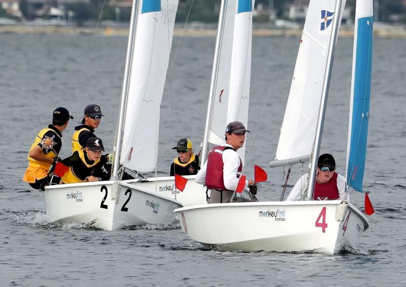 Time for a plan - photo © Lindsay Ironbark Photography