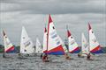 Entries are now open for the Gill Easter Egg and Youth Regatta at Grafham Water SC