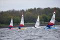 Derbyshire Youth Sailing at Burton © Stephen Molloy