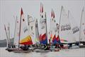 Blackwater Sailing Club Cadet Week © Anna Lau and James Torrance
