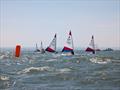 London and Southeast Topper Open at Whitstable Yacht Club © Steve Gray