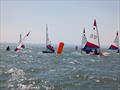London and Southeast Topper Open at Whitstable Yacht Club © Steve Gray