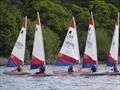 Topper North East Championship at Sheffield Viking © Alan Gillard