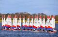 Toppers at Lough Erne © Michelle Green