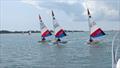 London & South East Topper Regional Championships 2025 at Itchenor Sailing Club © Mark Lay & Chris Balding