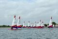 Fleet beating to windward - South East Topper series at Island Barn for the Tom Howard Trophy