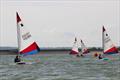 Emma Nettleship Regatta at Bough Beech