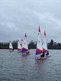 Rooster ITCA Southern Area Travellers at Spinnaker Sailing Club