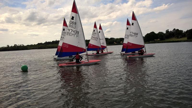 Eastern Area Topper Travellers at Horning - Gold fleet photo copyright Robert Shackle taken at Horning Sailing Club and featuring the Topper class