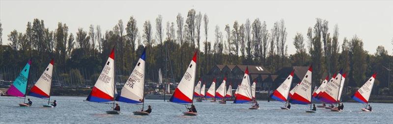 Toppers at Chichester photo copyright Louise Varley taken at Chichester Yacht Club and featuring the Topper class