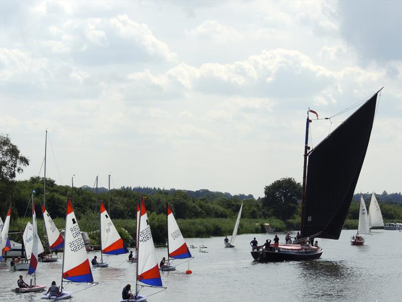 Horning Sailing Club Regatta Week photo copyright Holly Hancock taken at Horning Sailing Club and featuring the Topper class