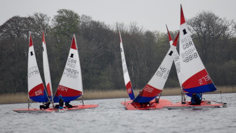 Scottish Toppers at Annandale photo copyright Stephen Hinton Smith taken at Annandale Sailing Club and featuring the Topper class