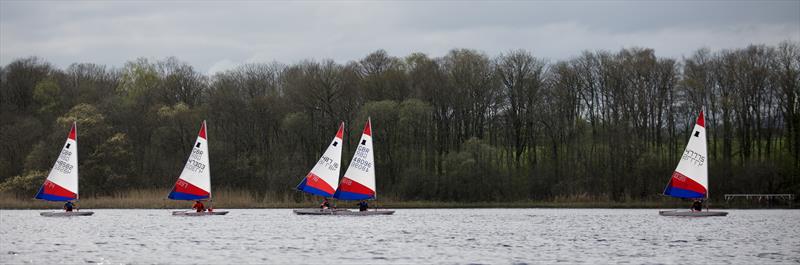 Scottish Toppers at Annandale photo copyright Stephen Hinton Smith taken at Annandale Sailing Club and featuring the Topper class