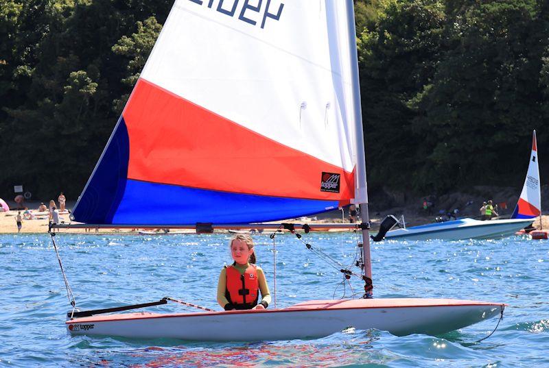 Salcombe Gin Yacht Club Regatta - photo © Lucy Burn