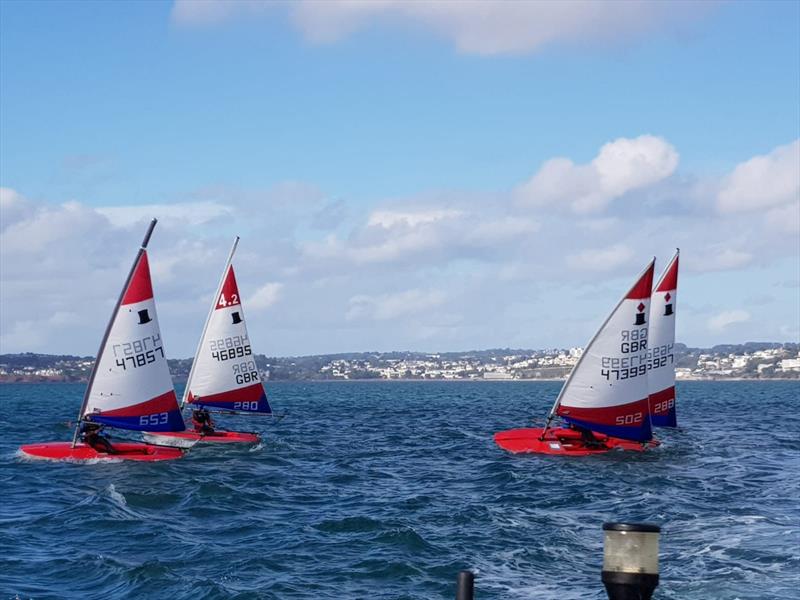 South West Topper Travellers at Brixham photo copyright Colin Bunting taken at Brixham Yacht Club and featuring the Topper class