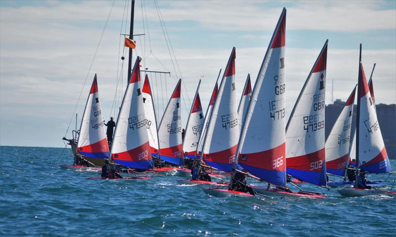 South West Topper Travellers at Brixham photo copyright James Mills taken at Brixham Yacht Club and featuring the Topper class